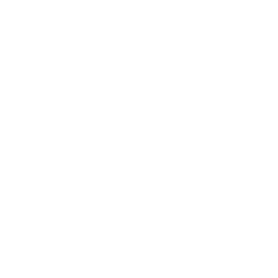 custom-wordpress-development